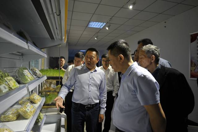 黑龙江省黑河市领导一行莅临芽状元考察指导