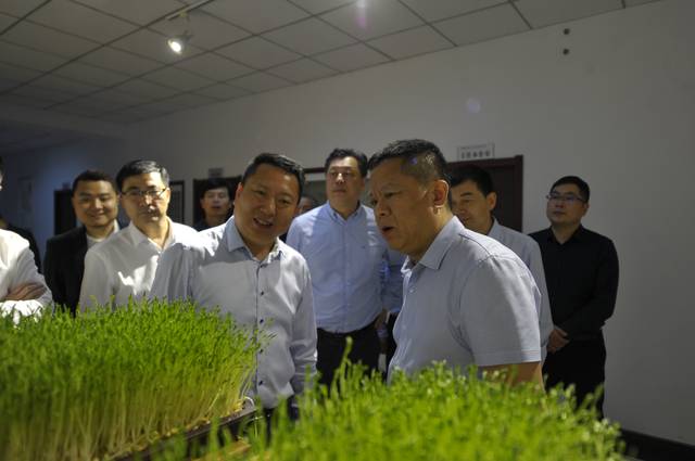 黑龙江省黑河市领导一行莅临芽状元考察指导