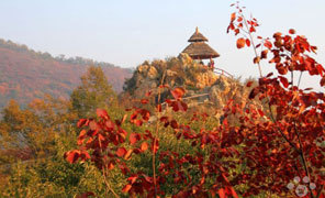 【大鸿寨红叶节】 阳光不锈作品