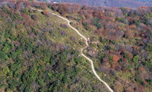 【大鸿寨红叶节】寻龙作品