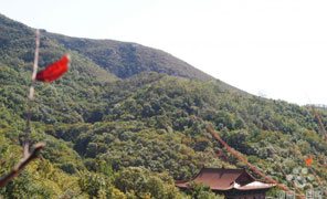 【大鸿寨红叶节】微笑王作品 