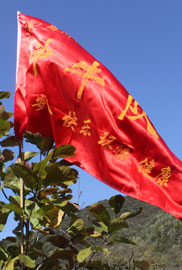 登山比赛队伍整装待发