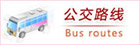 公交路线