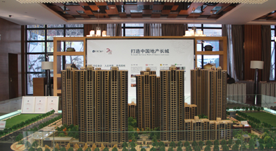 精细的品质 温暖的心 西施探盘之保利百合