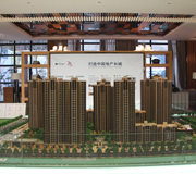  精细的品质 温暖的心 西施探盘之保利百合