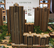  精细的品质 温暖的心 西施探盘之保利百合