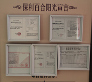  精细的品质 温暖的心 西施探盘之保利百合