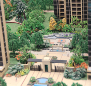  精细的品质 温暖的心 西施探盘之保利百合