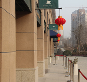  精细的品质 温暖的心 西施探盘之保利百合