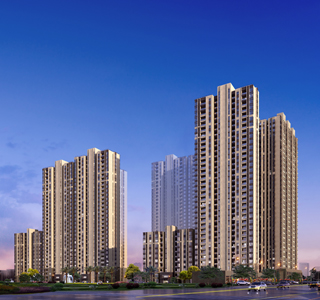  精细的品质 温暖的心 西施探盘之保利百合