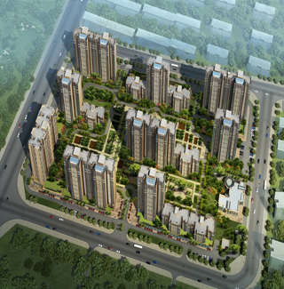  精细的品质 温暖的心 西施探盘之保利百合