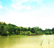  貂蝉惊奇之旅：今生梦回红河谷