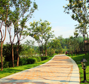  貂蝉惊奇之旅：今生梦回红河谷