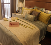  西施踩盘记之升龙汇金广场中心