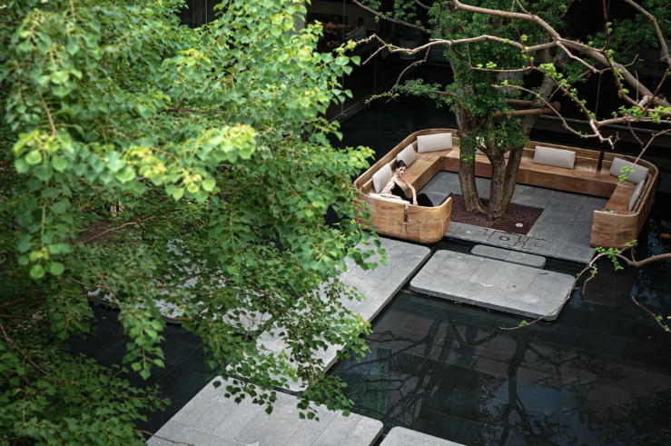 招商蛇口6