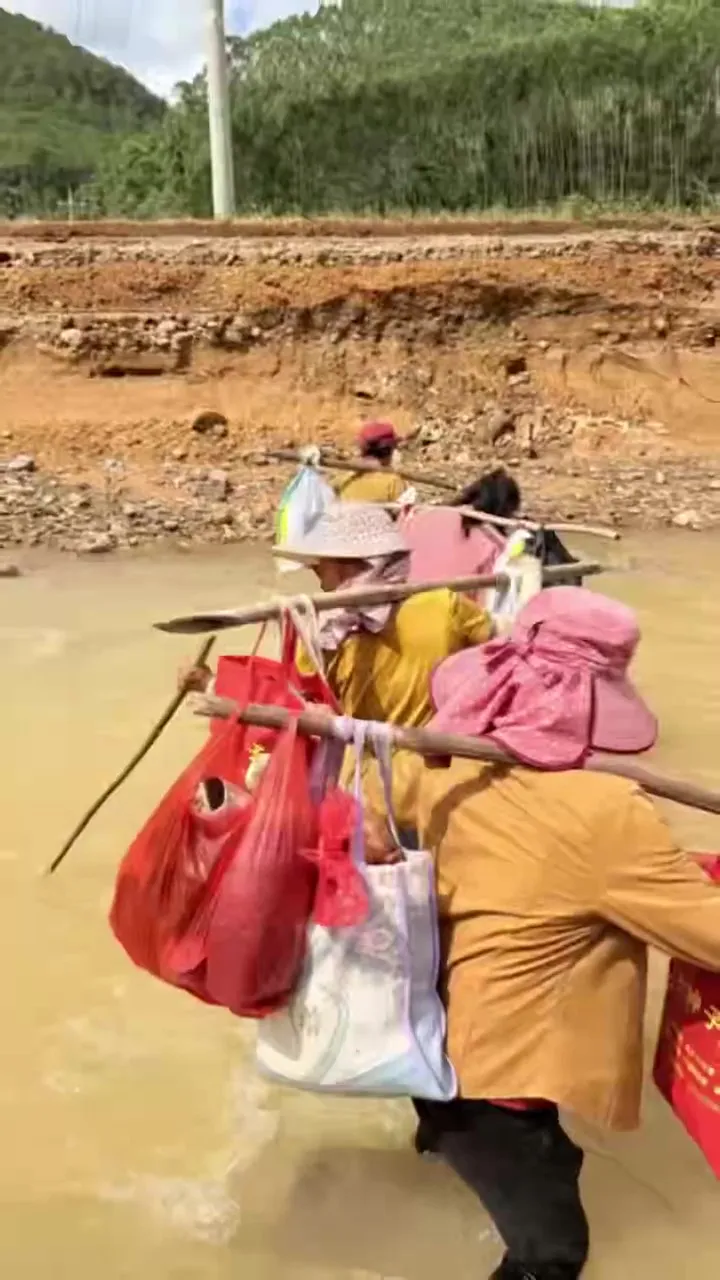泰康人寿