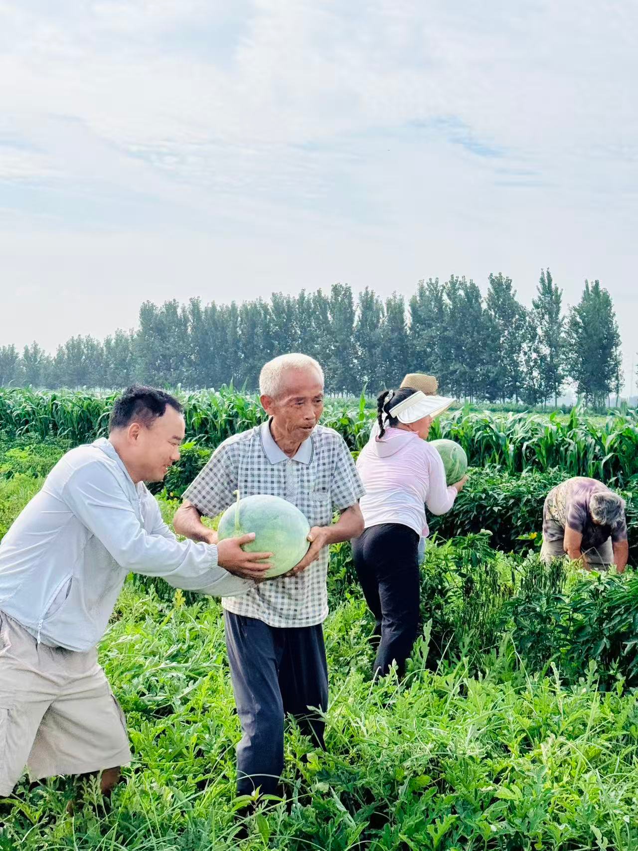 中铁中产置业有限公司