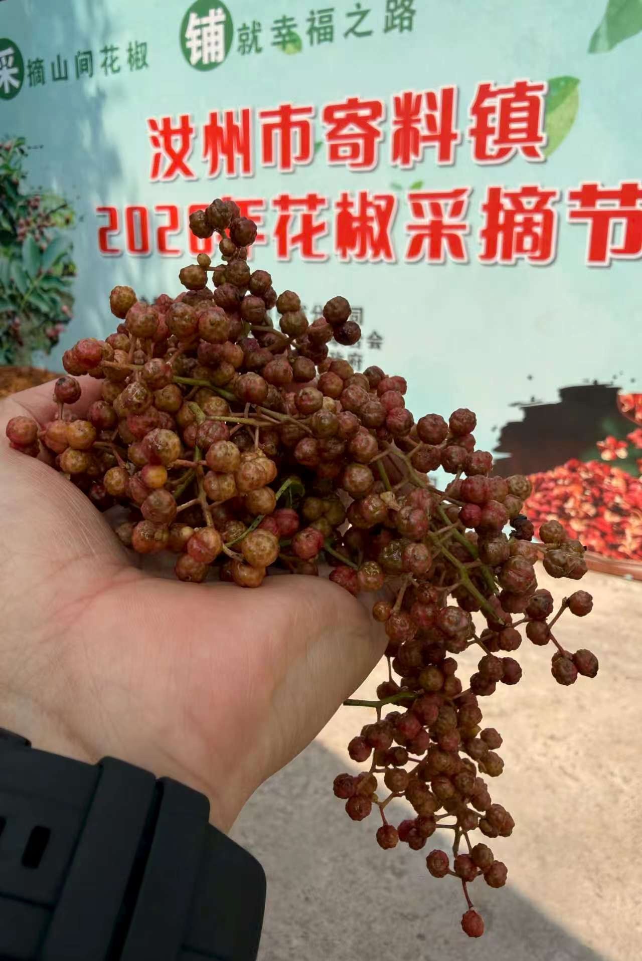 中国人寿寿险河南省分公司