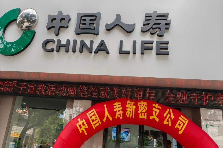 牵手国寿·绘动华章  ——中国人寿新密支公司举