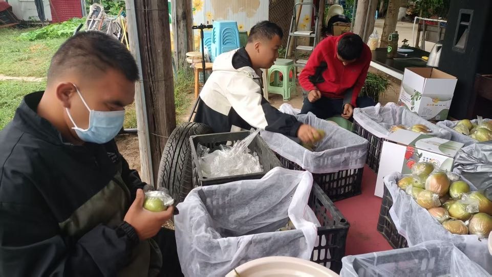 平安银行郑州高新区支行