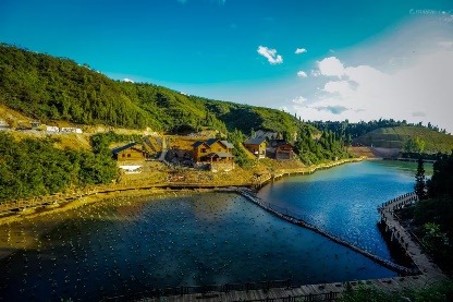 新华保险