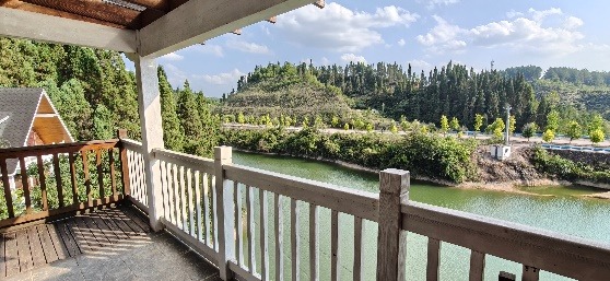 新华保险