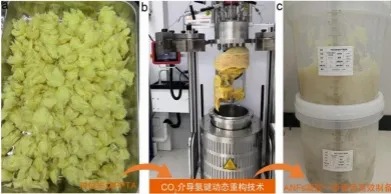 黄河科技学院
