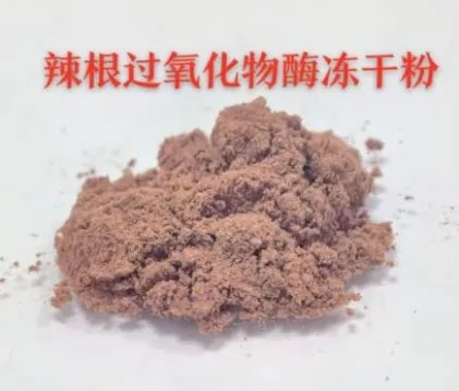 黄河科技学院