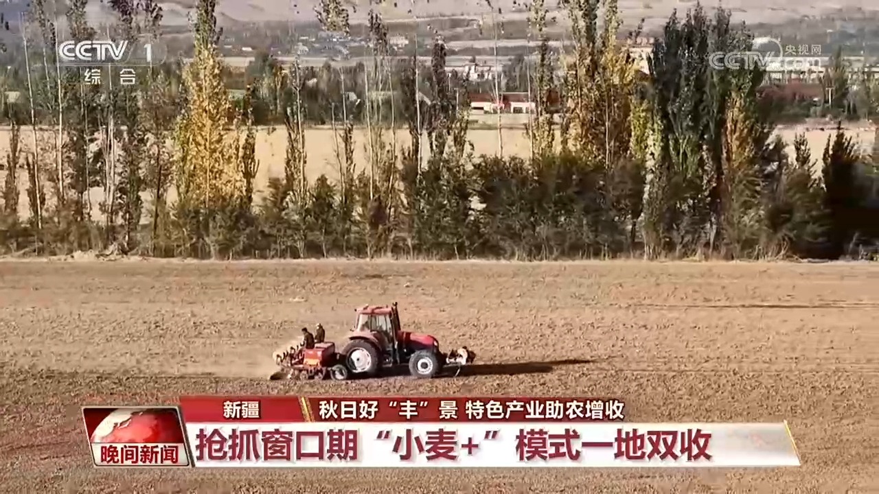 全国秋粮大面积收获进行时！各地特色产业助农增收
