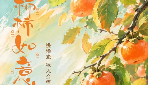 柿柿如意！云台山柿子红了！
