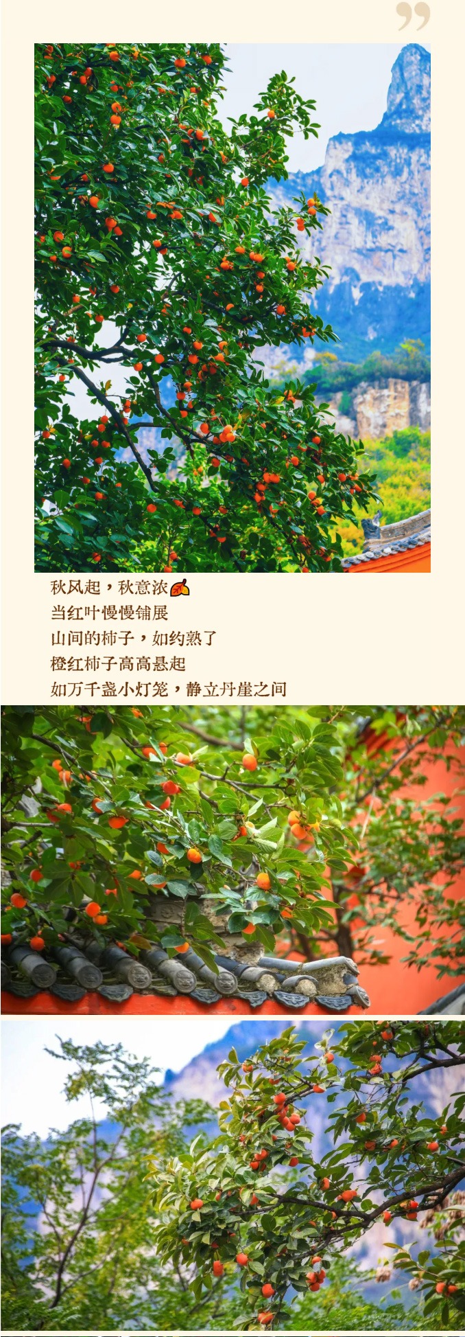 云台山景区
