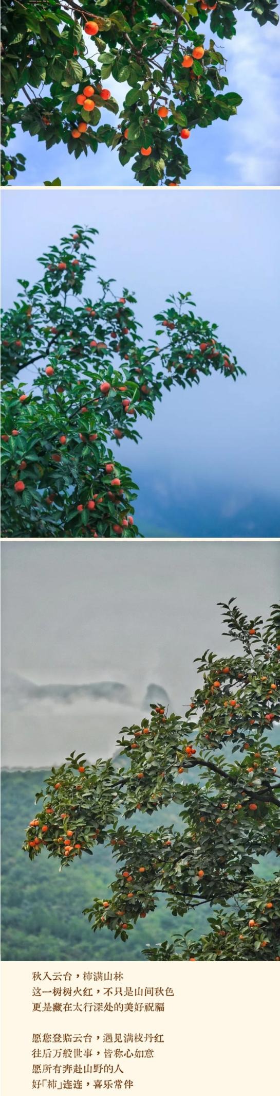 云台山景区