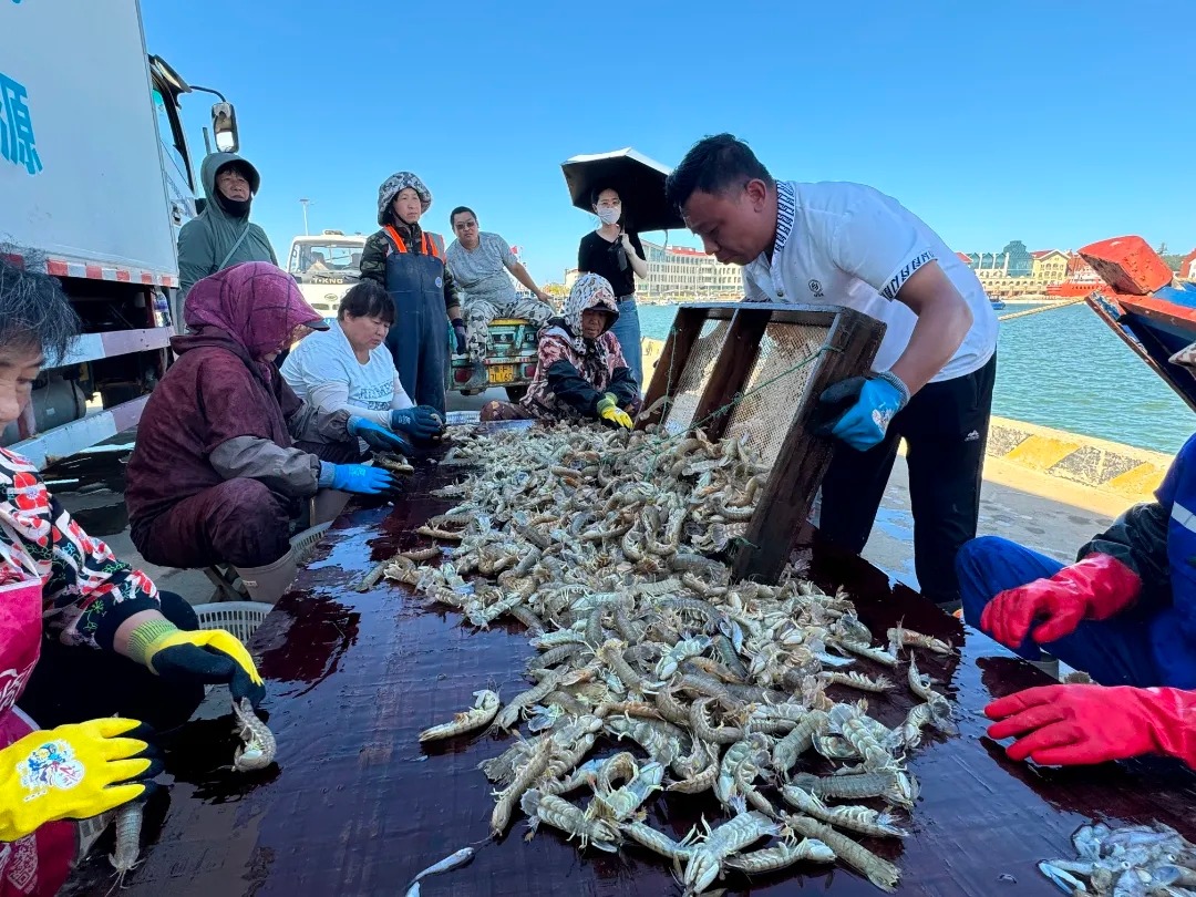 护航开海“第一鲜”，国寿筑牢海上人身安全防线