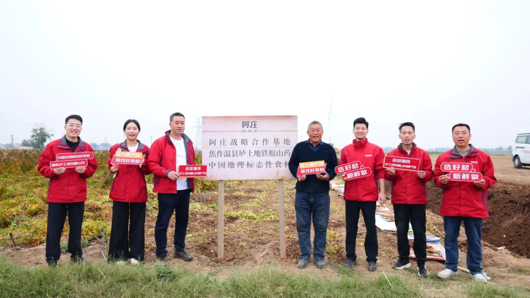 阿庄第三届温县垆土地铁棍山药美食节