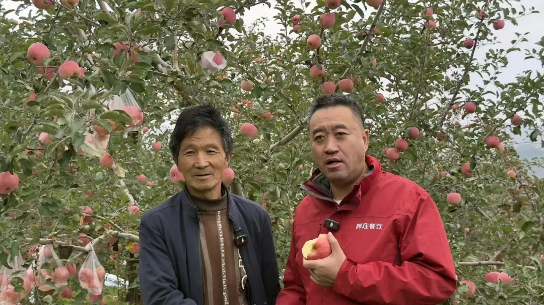阿庄第三届温县垆土地铁棍山药美食节