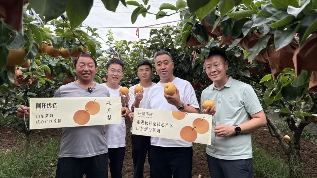 阿庄第三届温县垆土地铁棍山药美食节