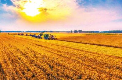 让中国“碗”盛更多“河南粮”