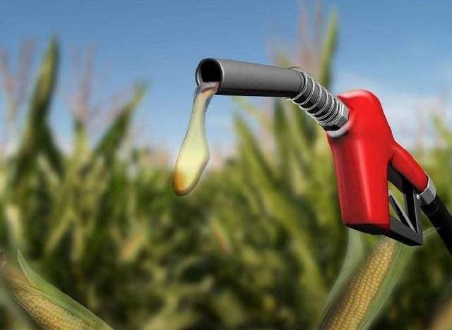 啥时候停售乙醇汽油 addecf595dd008c119f609fe28538fee.jpg