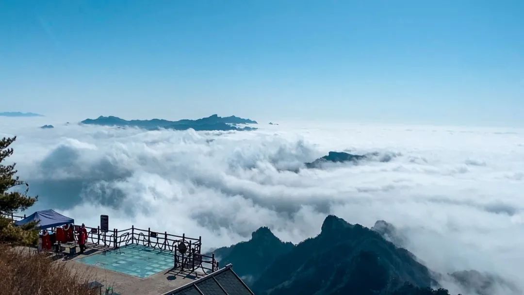 4微信图片_20220303151251.jpg