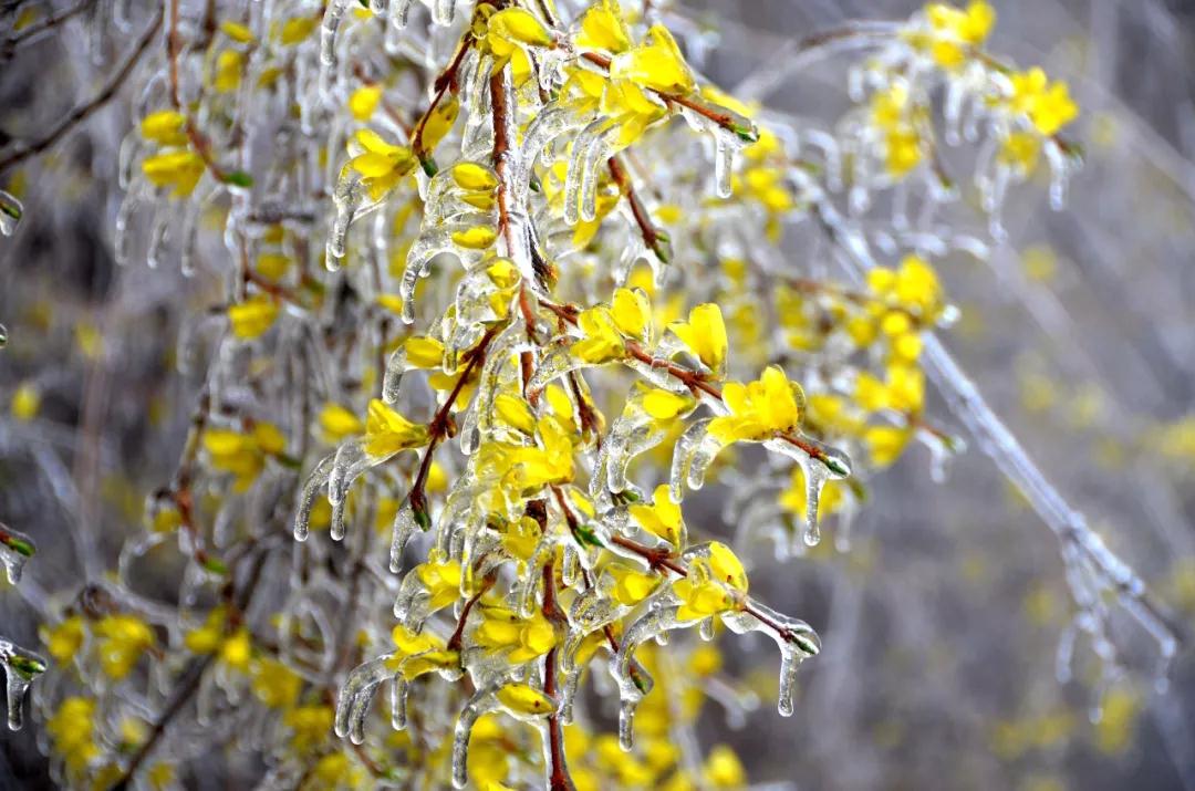 三八女神节，新乡南太行所有景区都是免免免！