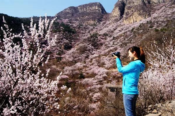 三八女神节，新乡南太行所有景区都是免免免！
