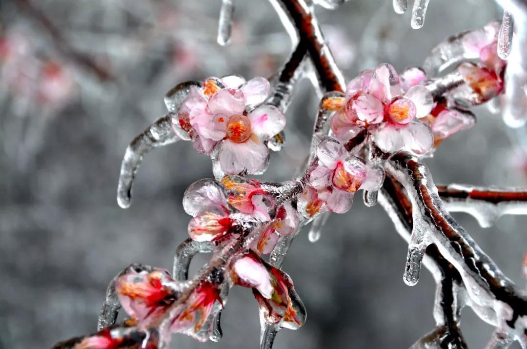 三八女神节，新乡南太行所有景区都是免免免！