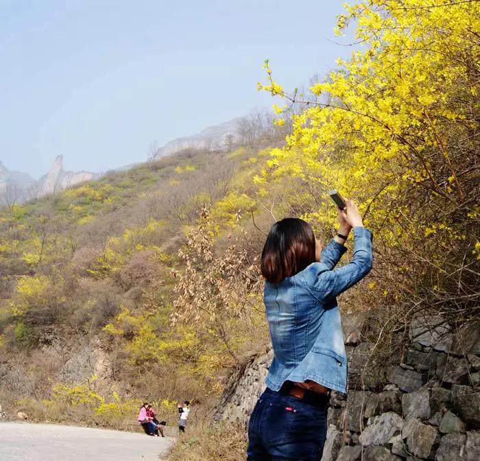 三八女神节，新乡南太行所有景区都是免免免！