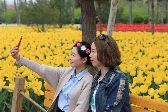 绿博园:2019春季问花节3月30日开幕