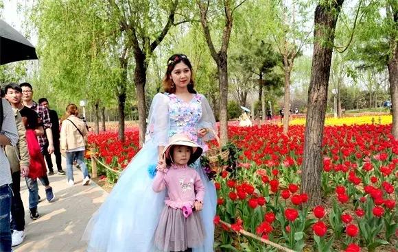 绿博园:2019春季问花节3月30日开幕