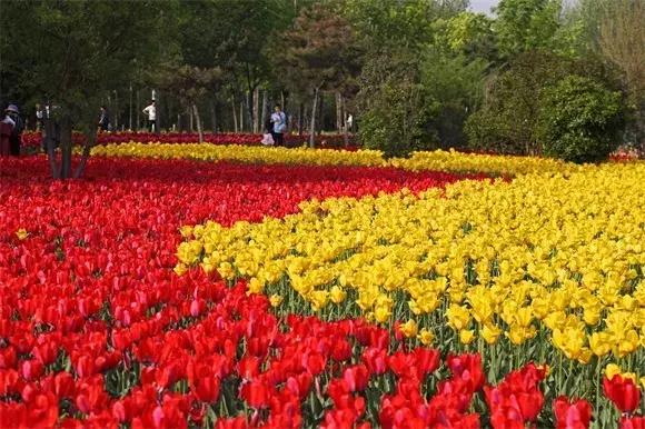 绿博园:2019春季问花节3月30日开幕