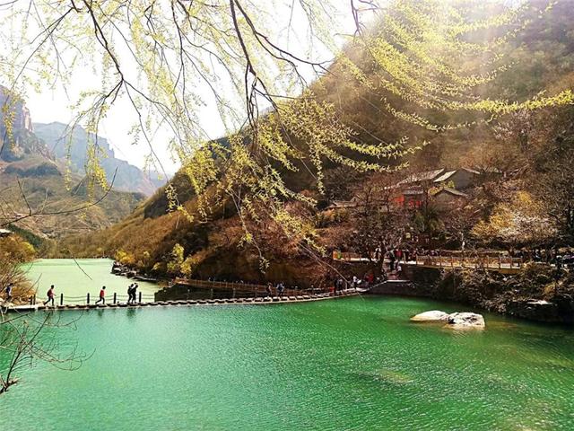 拥抱新乡八里沟,来一场踏青赏花之旅!