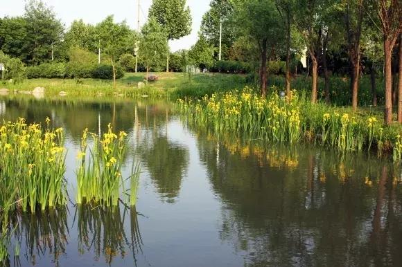 绿博园:五一近郊游,赏花正当时