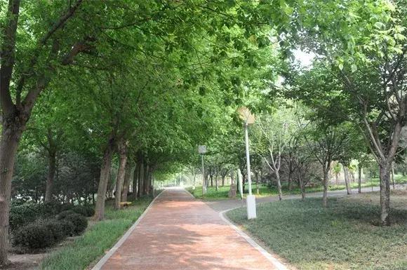 绿博园:五一近郊游,赏花正当时