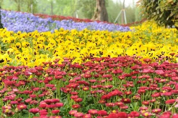 绿博园:五一近郊游,赏花正当时